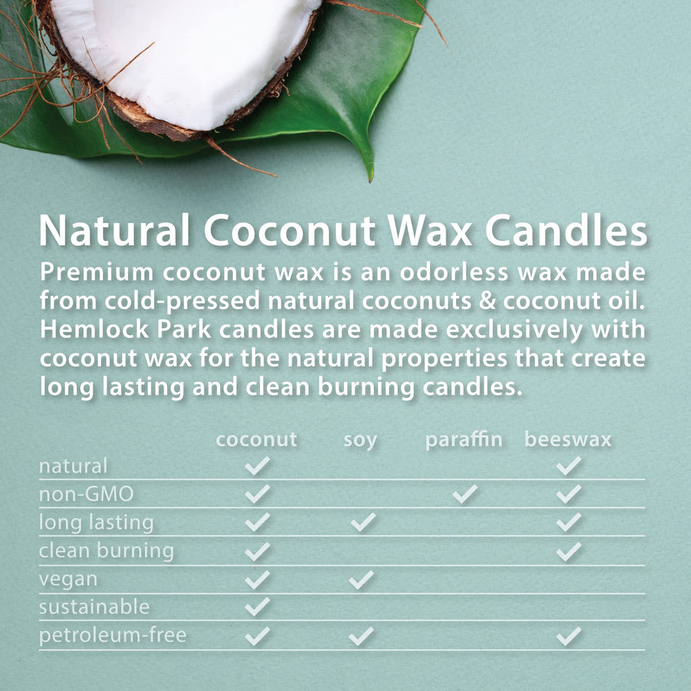 Hemlock Park candle handcrafted in America with premium materials.
