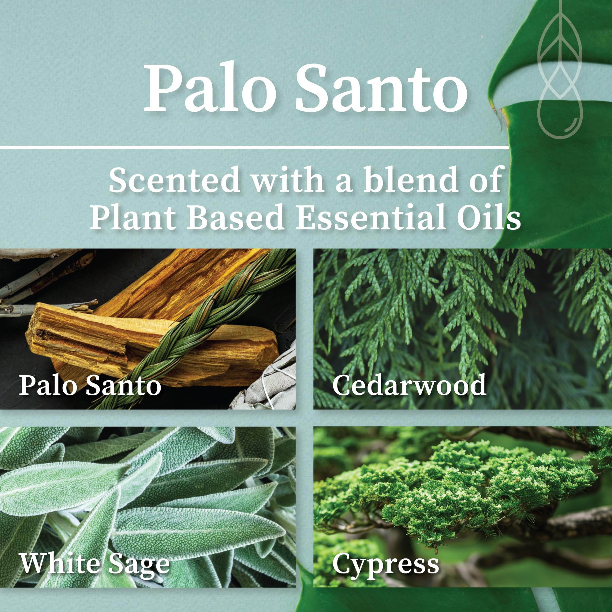 Hemlock Park Palo Santo aroma candle with fresh notes for a calming space