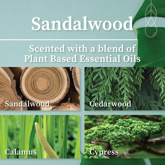 Hemlock Park sandalwood candle with coconut wax for clean burn