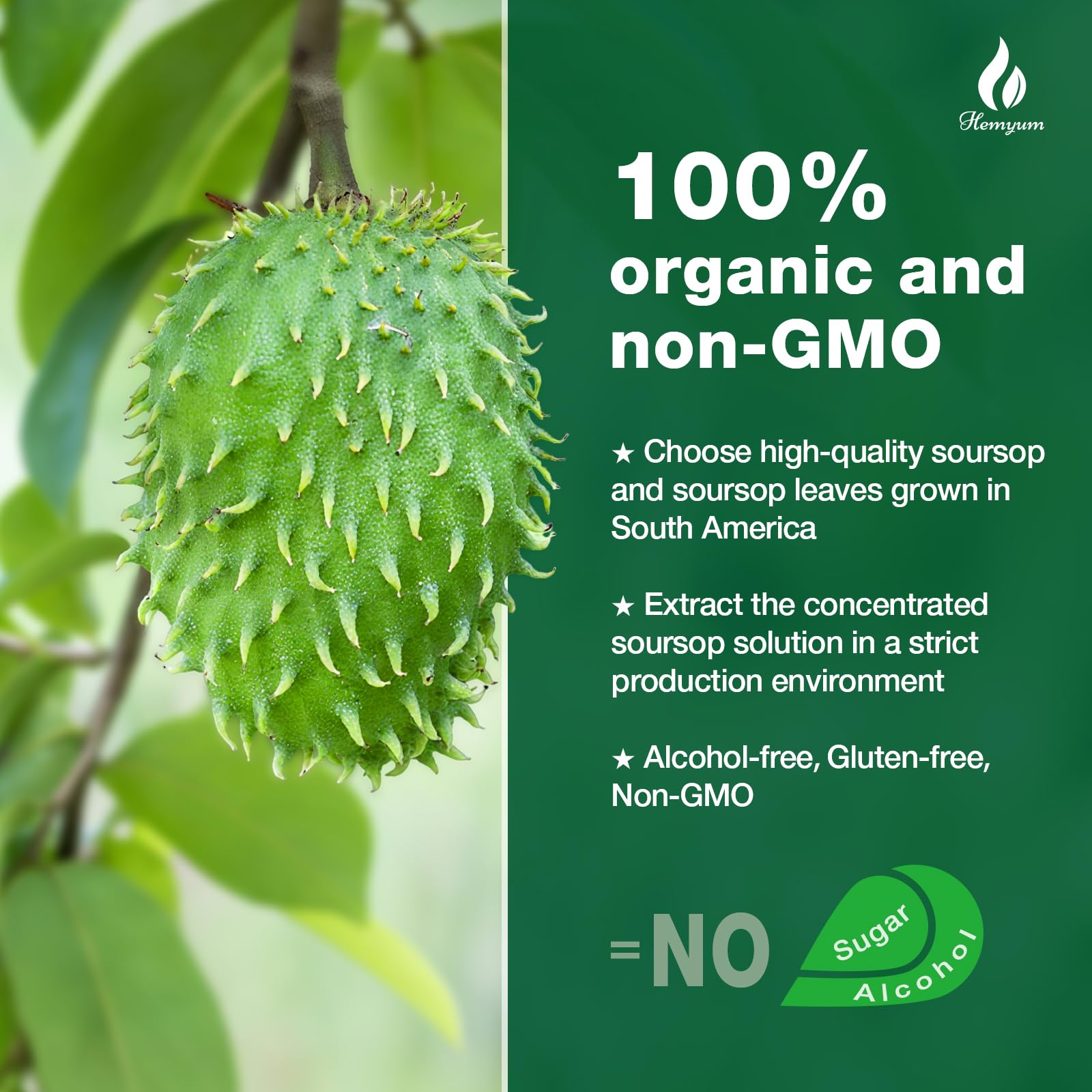 Hemyum Soursop leaves and fruit highlight natural sourcing and plant-based origins.
