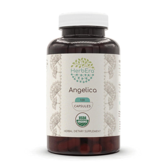 HerbEra Angelica archangelica root capsules for daily herbal use
