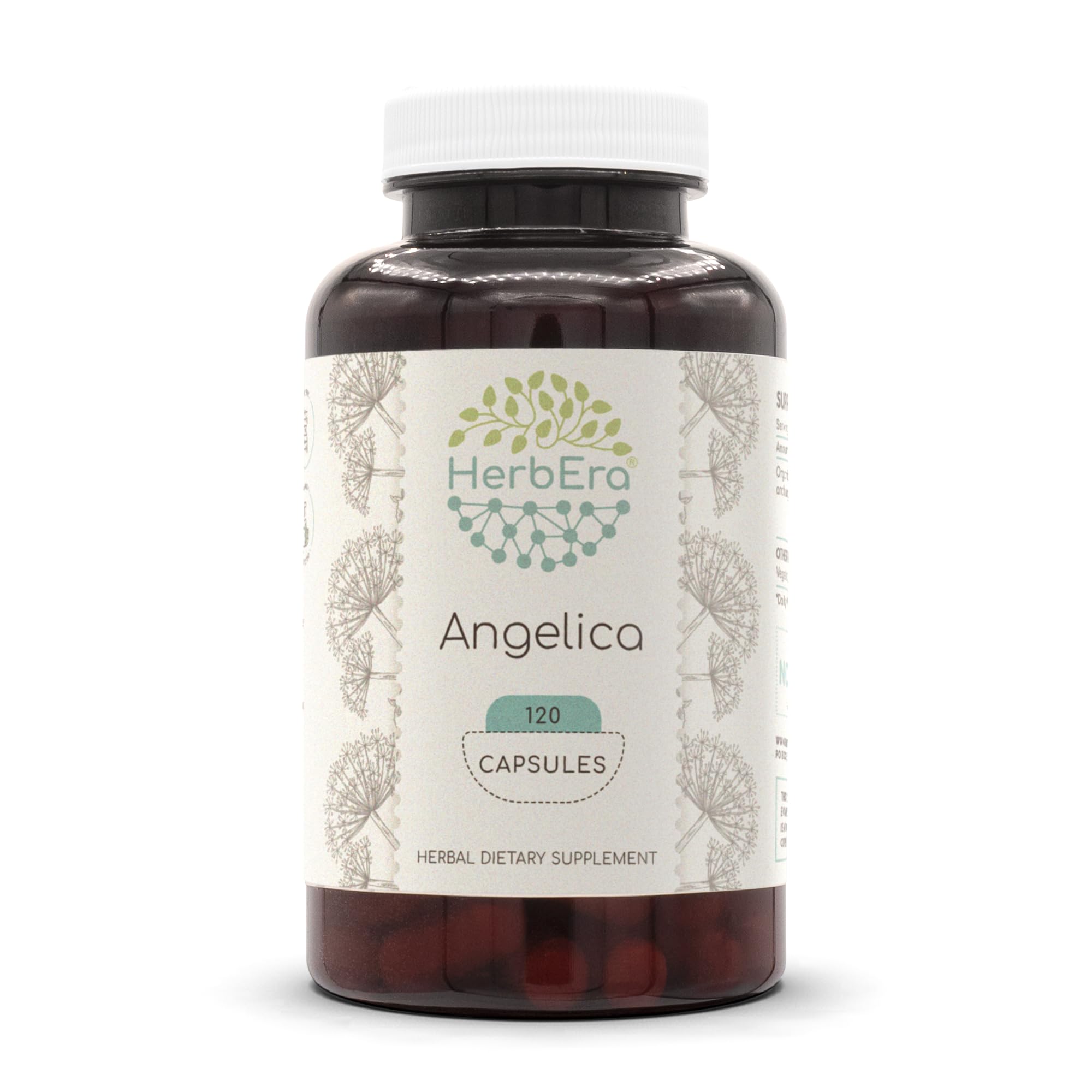HerbEra Angelica capsules 120-count bottle close-up, premium herbal supplement.