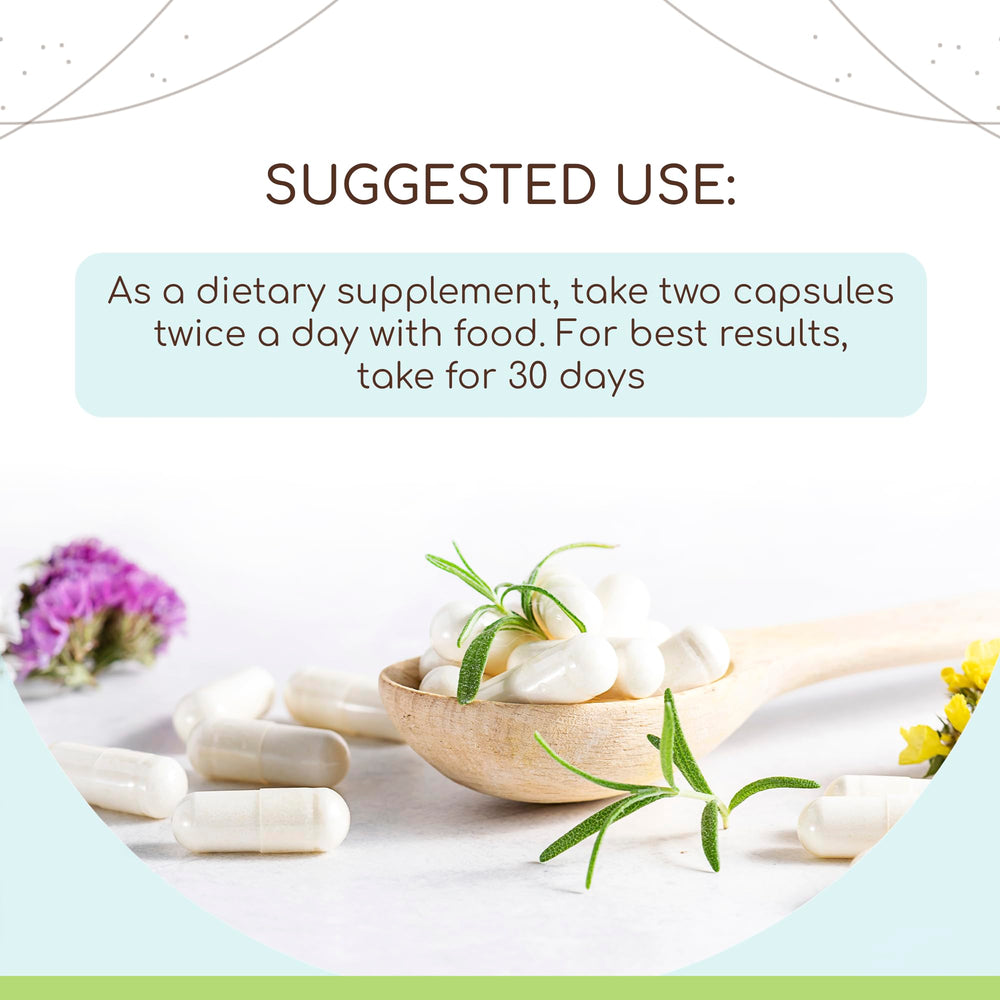 HerbEra Bugleweed capsules closeup highlighting premium blend and easy absorption