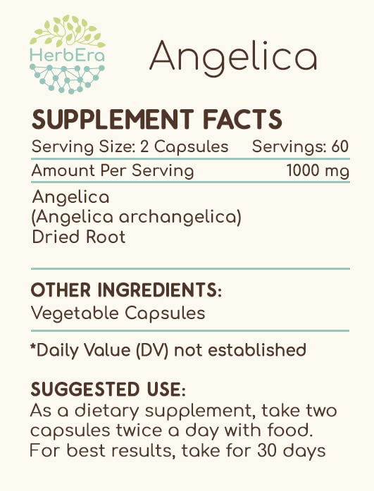 HerbEra dried Angelica archangelica root image, high-quality raw material.