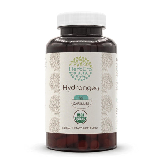 HerbEra Hydrangea bottle with organic capsules for daily use.