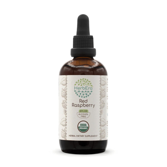 HerbEra Red Raspberry tincture bottle front view for daily wellness support
