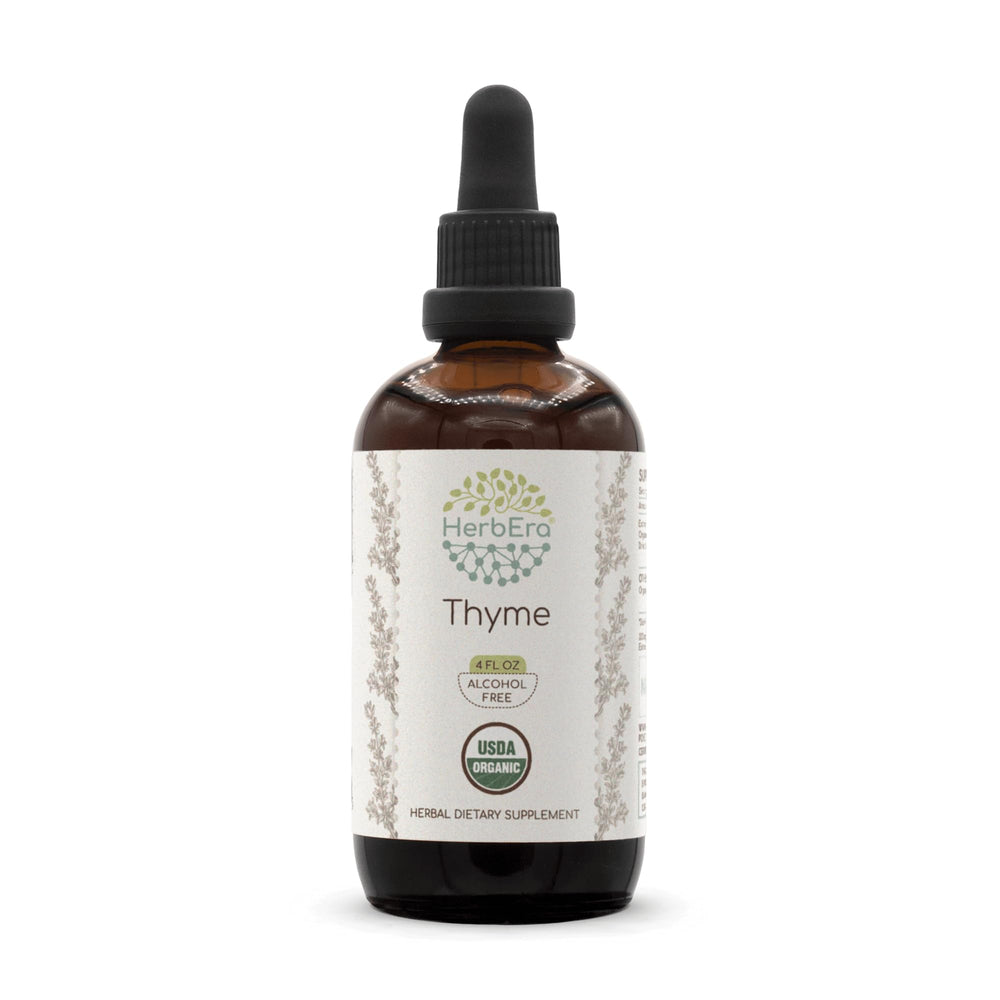 HerbEra Thyme B120 bottle front view shows organic, alcohol-free extract.