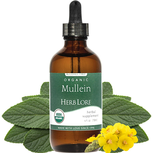 Herb Lore Mullein tincture bottle for organic lung support.