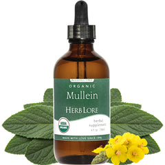 Herb Lore Mullein tincture bottle for organic lung support.