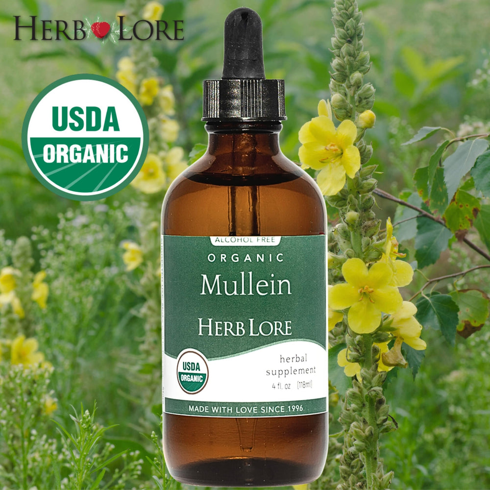 Herb Lore Mullein tincture being added to warm water for a soothing tea alternative.