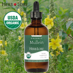 Herb Lore Mullein tincture being added to warm water for a soothing tea alternative.