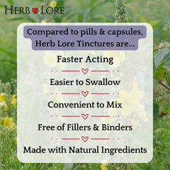Herb Lore Mullein tincture label highlights organic ingredients and alcohol-free formula.