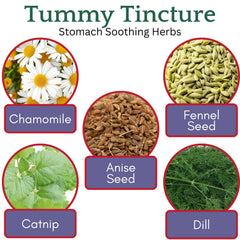 Herb Lore Tummy Tincture dropper enables easy, alcohol-free dosing for kids.