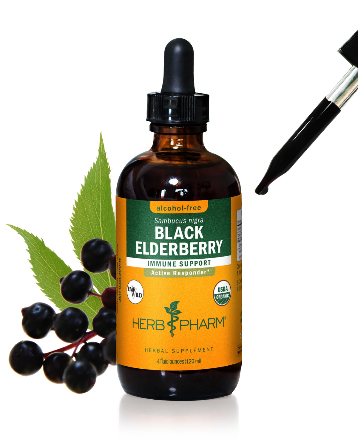 Herb Pharm Black Elderberry liquid bottle shown for immune-support in daily routines.