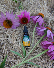 Herb Pharm Echinacea root close-up suggests traditional herbal backbone