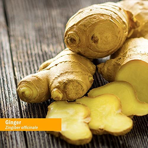 Organic-certified ginger root used in Herb Pharm tincture