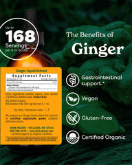 Herb Pharm ginger root tincture dropper for fast absorption