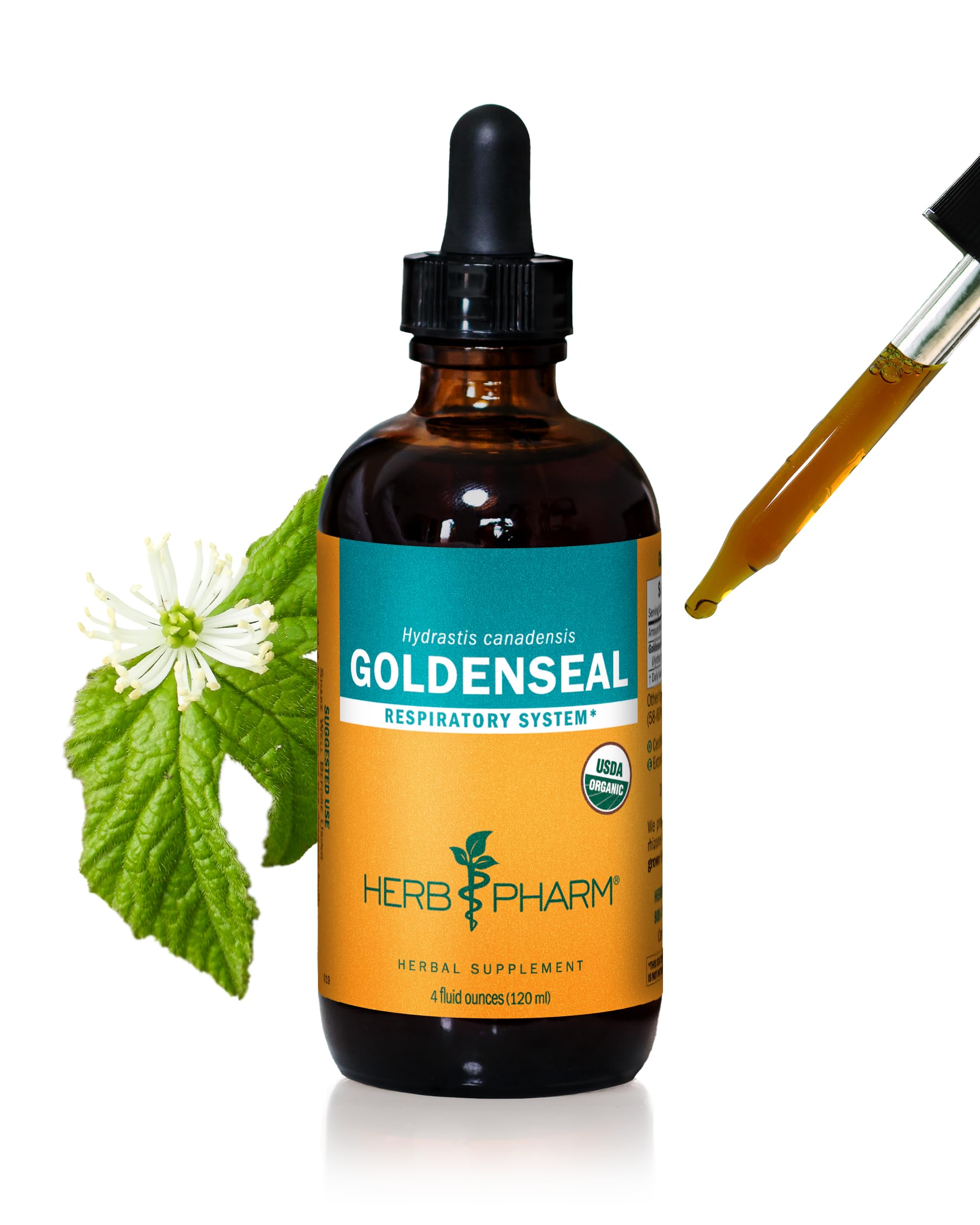 Herb Pharm Goldenseal liquid extract bottle with organic labeling for reliable use.