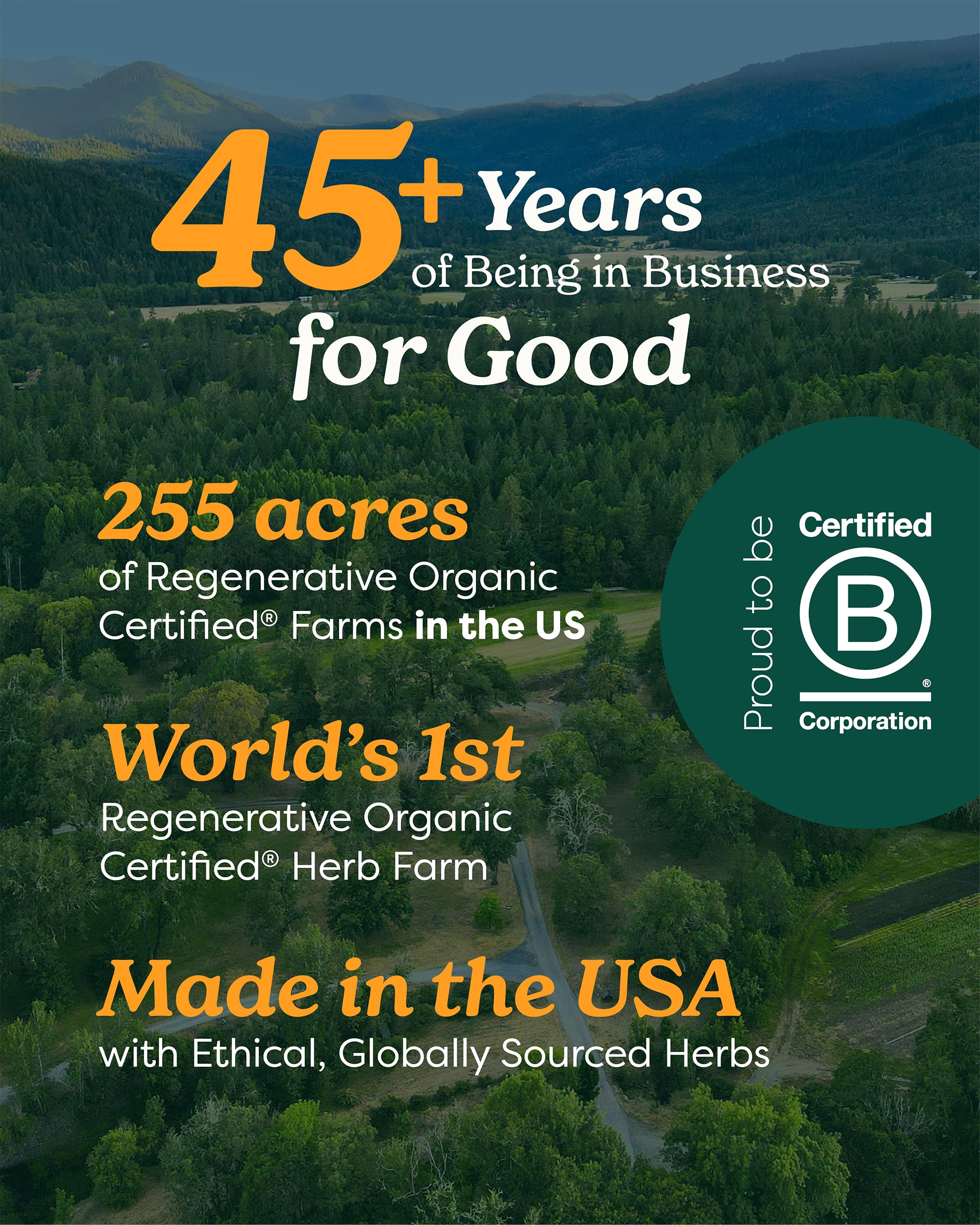 Amber glass Inflamma Response bottle on light background ready for daily use.