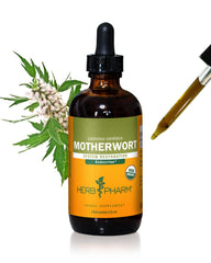 Herb Pharm Motherwort liquid extract bottle on a clean surface for easy tincture use