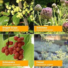 Herb Pharm organic farm landscape highlighting sustainable sourcing of ingredients