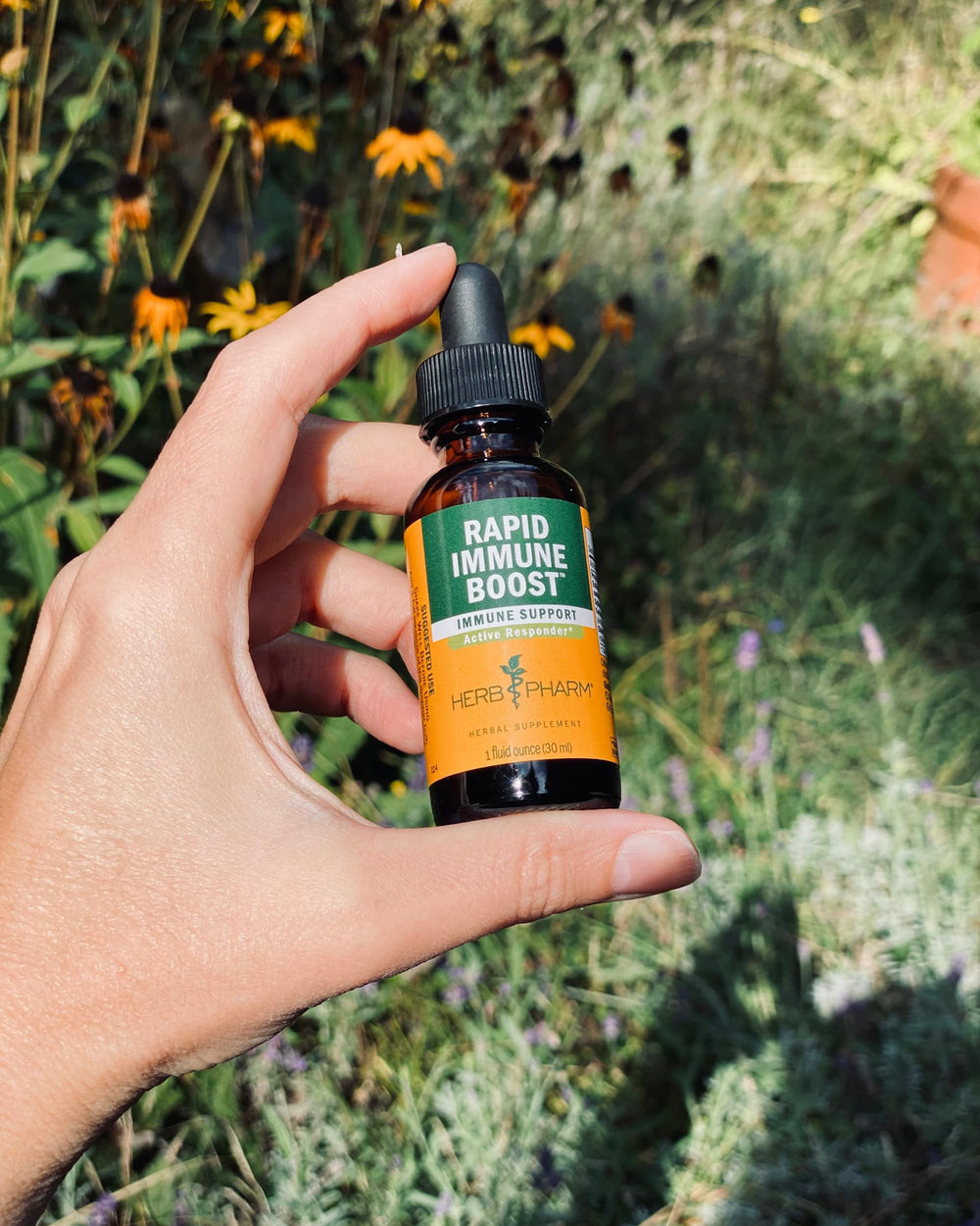 Herb Pharm Rapid Immune Boost ginger and elderberry blend close-up