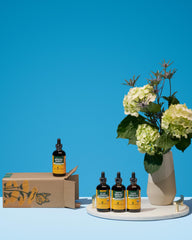Herb Pharm Rapid Immune Boost packaging box shown