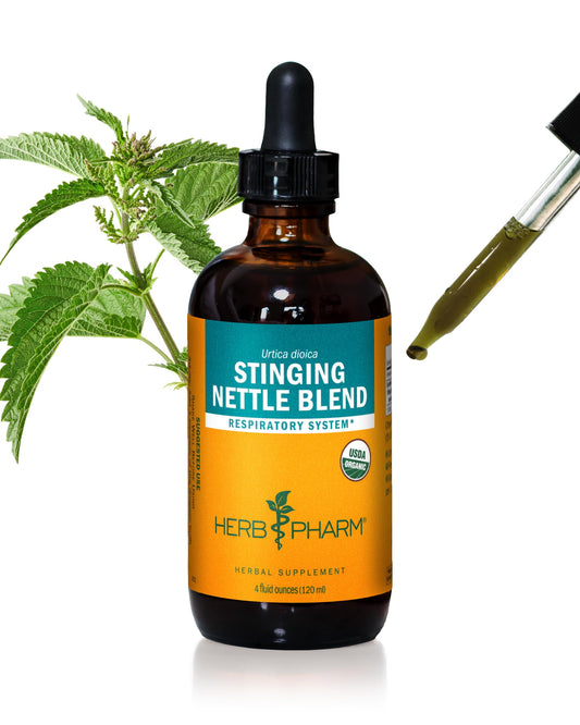 Herb Pharm Stinging Nettle Blend bottle with dropper supports respiratory health when mixed with water.