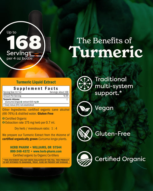 Herb Pharm turmeric liquid extract dropper ready for precise dosing