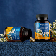 Herb Pharm Valerian Root plant roots photo emphasizes organic sourcing of valerian rhizomes.