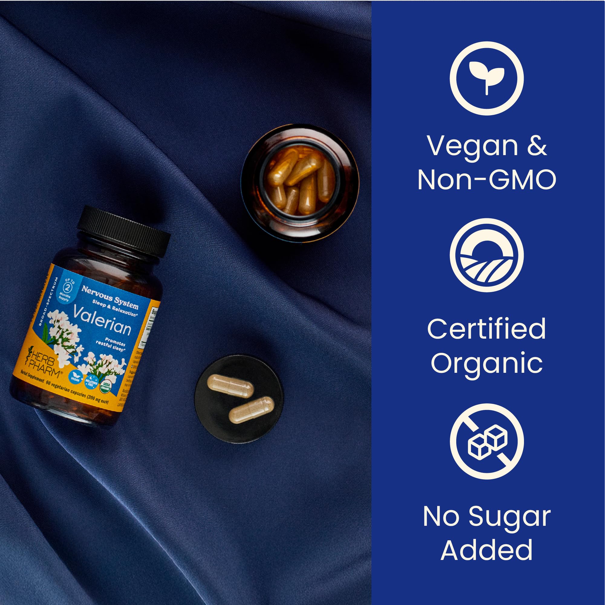 Herb Pharm Valerian Root Sleep Capsules on a nightstand suggest a calm evening ritual.