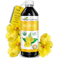 Herbal Goodness Mullein Drops bottle ready for daily lung support.