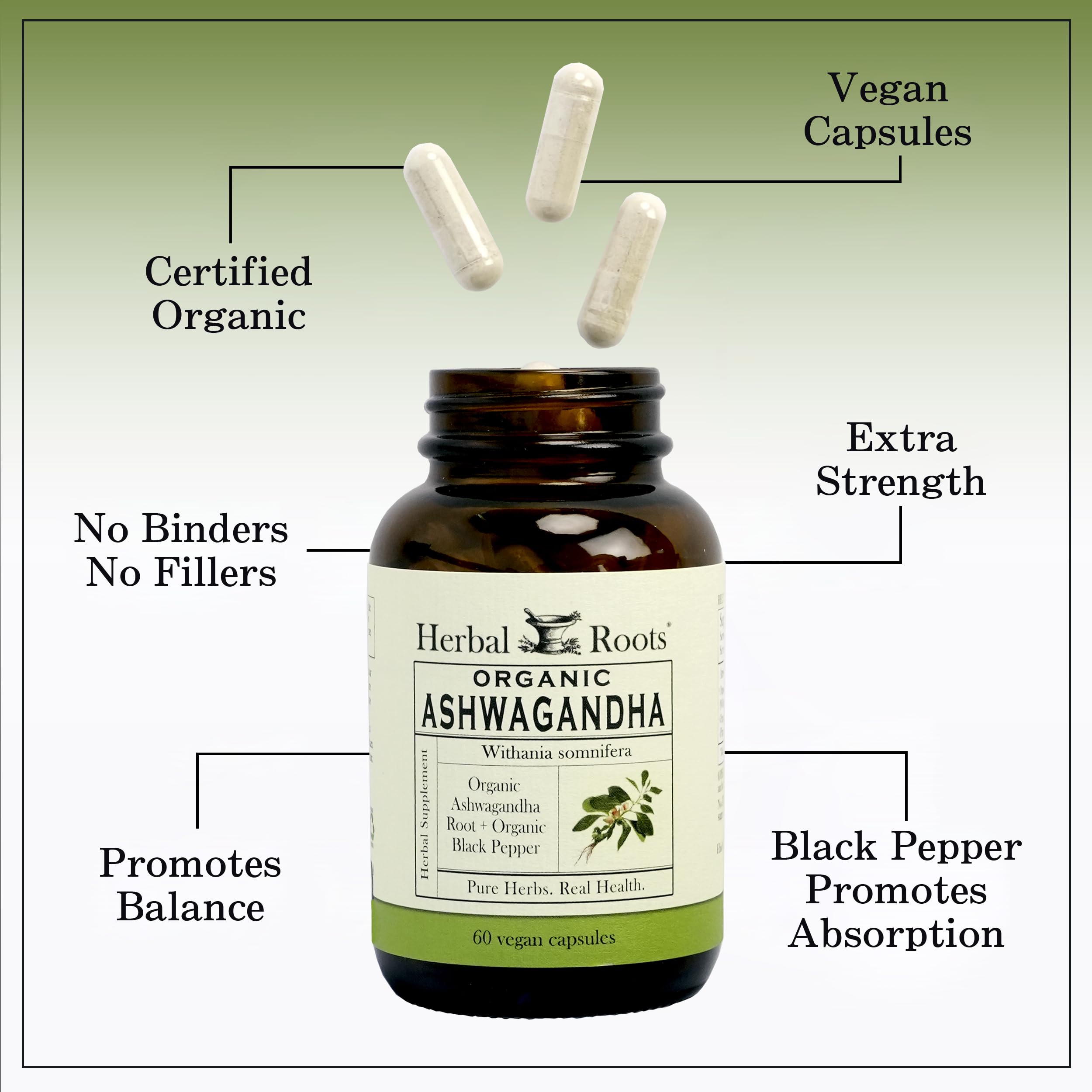 Pouring Herbal Roots Ashwagandha capsules for a simple daily ritual