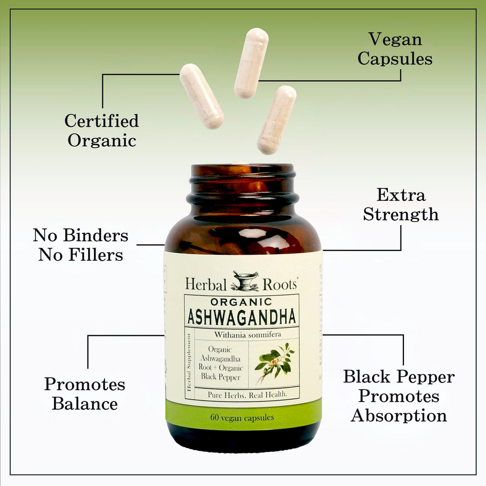 Pouring Herbal Roots Ashwagandha capsules for a simple daily ritual
