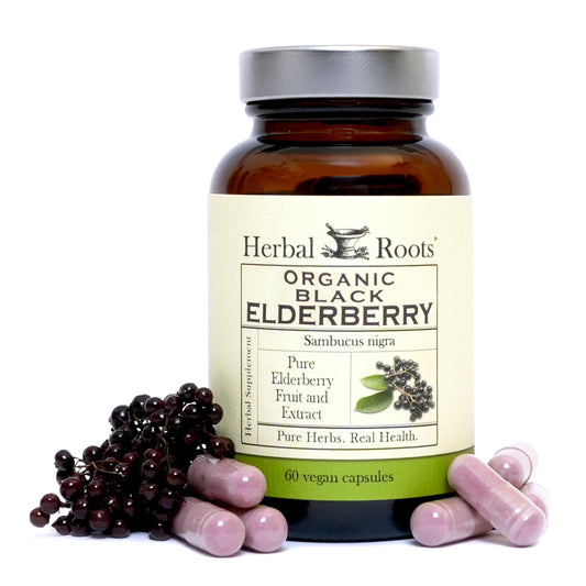 Herbal Roots Black Elderberry Capsules bottle with organic Sambucus for daily immune support
