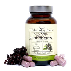 Herbal Roots Black Elderberry Capsules bottle with organic Sambucus for daily immune support
