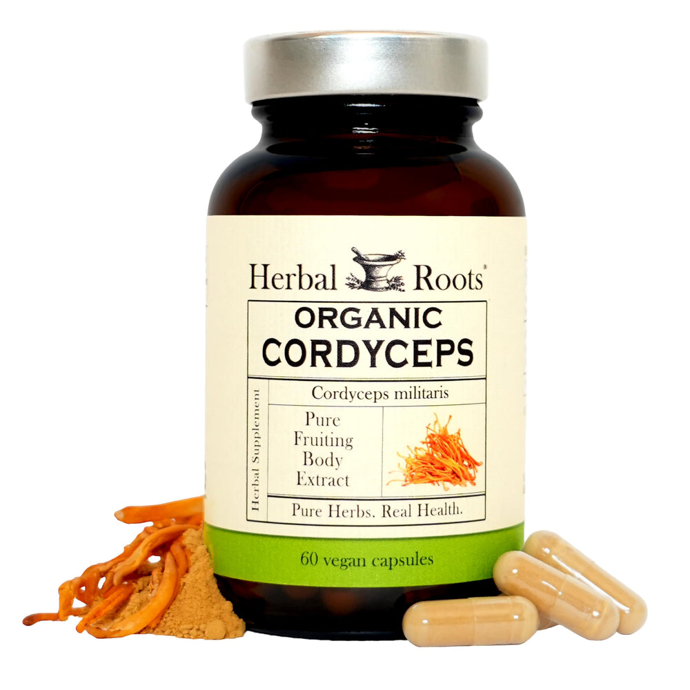 Herbal Roots Cordyceps bottle close-up highlighting vegan capsules for immune support