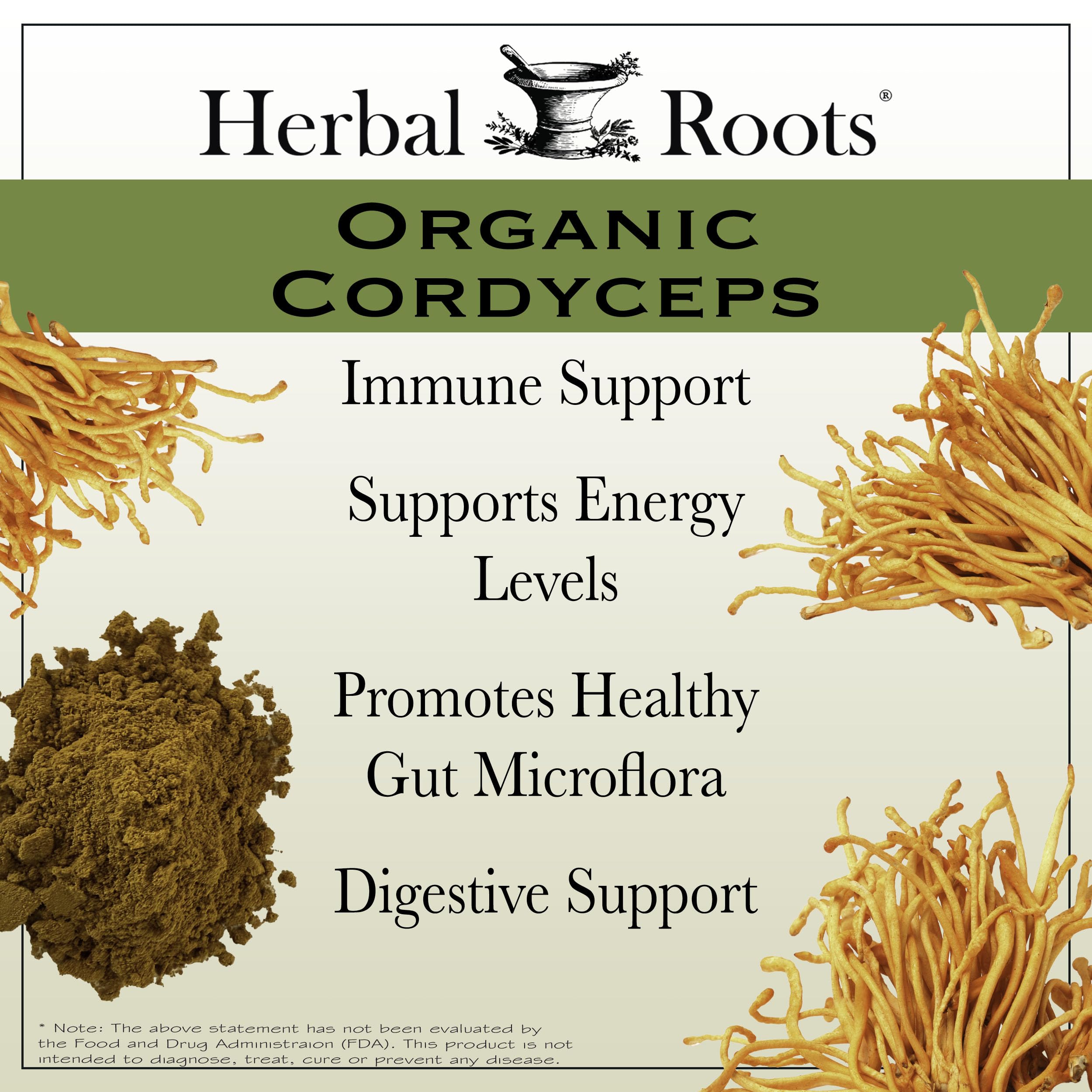 Herbal Roots Cordyceps fruiting body image emphasizes potent natural wellness properties