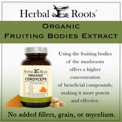 Herbal Roots vegan capsules display highlights plant-based immune support potential