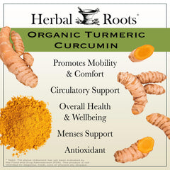 Herbal Roots curcumin 95% extract label detail