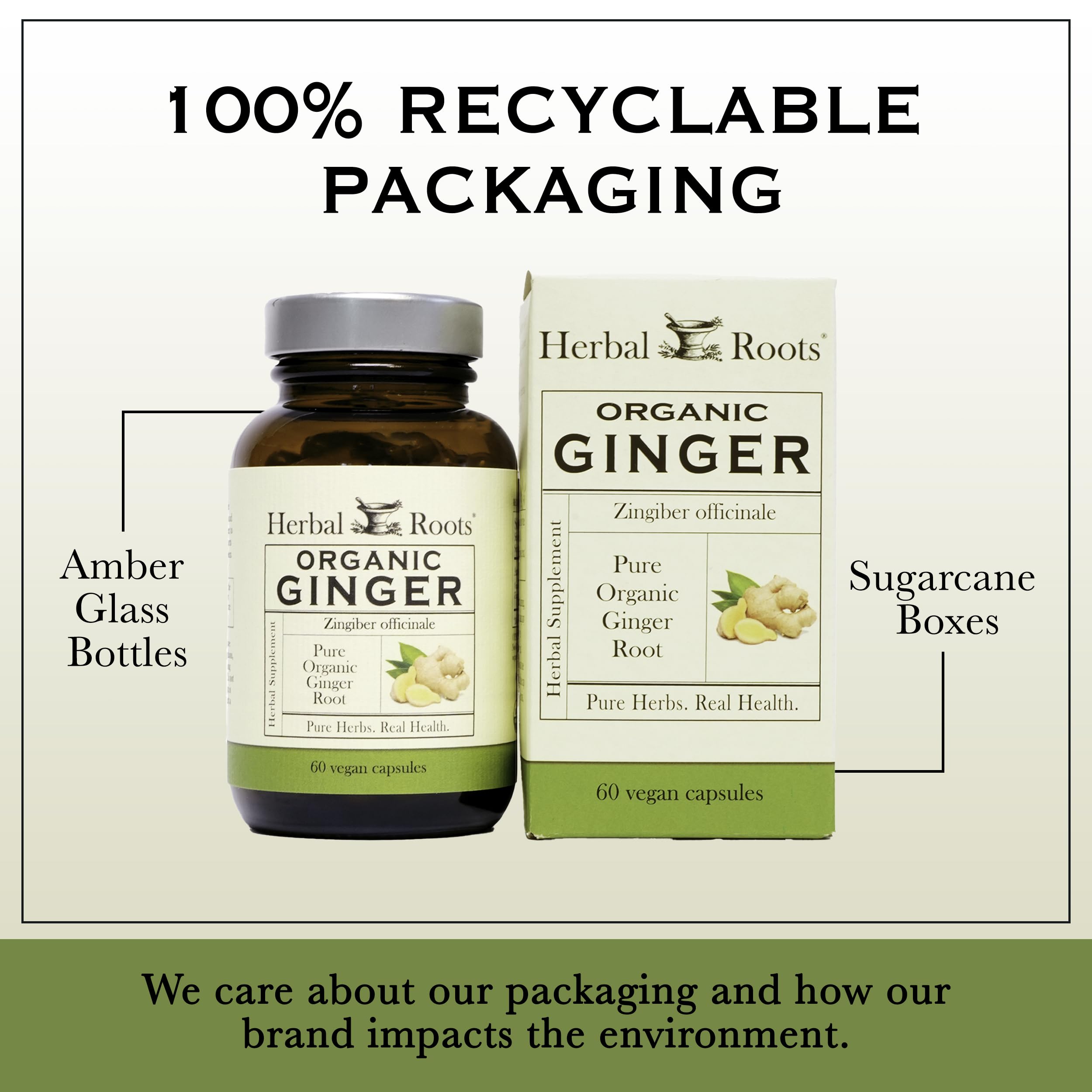 Closeup of Herbal Roots ginger powder highlighting 1,200 mg per serving.