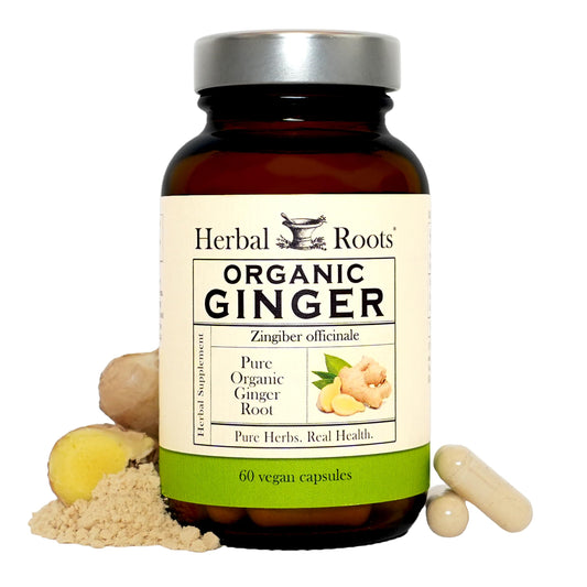 Herbal Roots Ginger Supplement bottle for convenient daily use and digestive comfort.