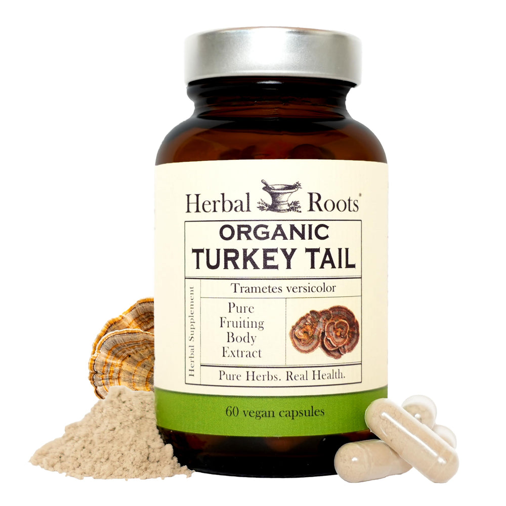 Herbal Roots Turkey Tail fruiting bodies extract for natural wellness