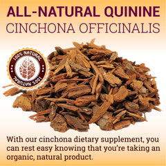 HERBALICIOUS Cinchona bark powder closeup highlighting natural origin.
