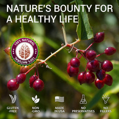 HERBALICIOUS Sarsaparilla Extract label—clear non-GMO ingredients for trust.