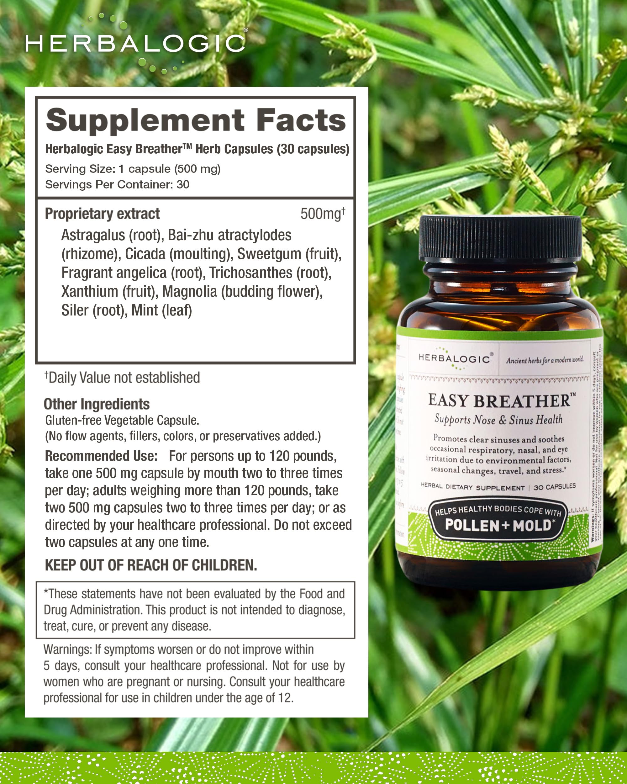 Herbalogic Easy Breather capsule image emphasizes mint and astragalus for breathing support.