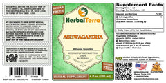 HerbalTerra Ashwagandha glycerite dropper, handy for daily resilience and balanced energy.