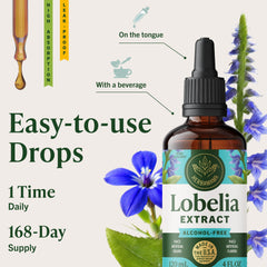 Box depicting a 56-day supply of Herbamama Lobelia tincture.