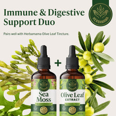 HERBAMAMA 56-day supply supports consistent plant-based use.