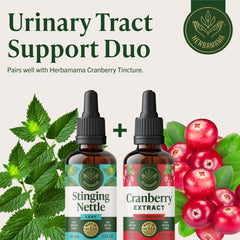 HERBAMAMA No alcohol or sugar visual signals clean, vegan-friendly tincture.